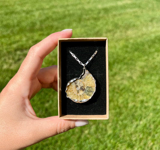 Ammonite Necklace